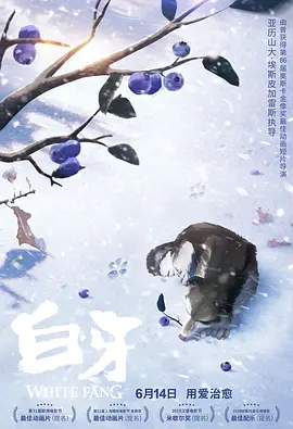 久久久久久免费视频