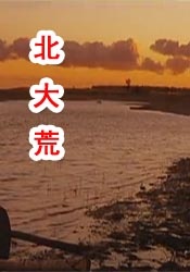 比基尼美女姐姐